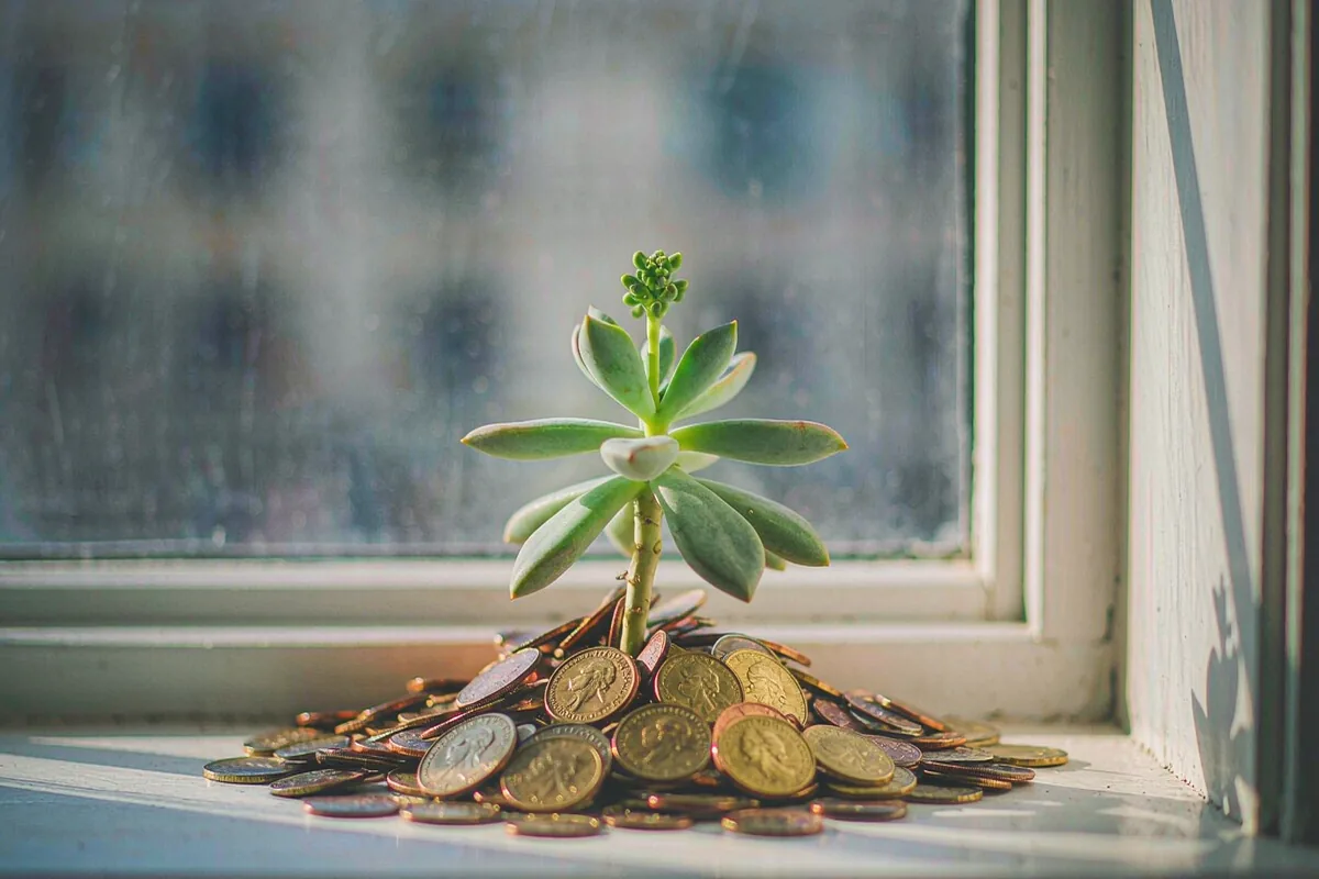 Understanding Compound Interest in Plain Terms